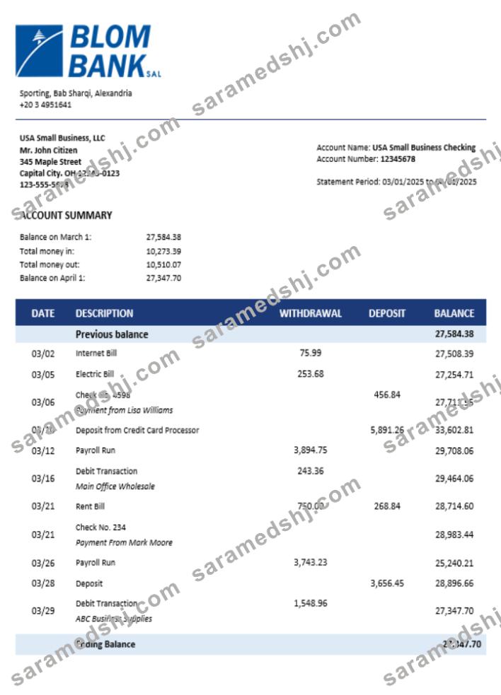 Blom Bank of Egypt enterprise account statement Word and PDF template